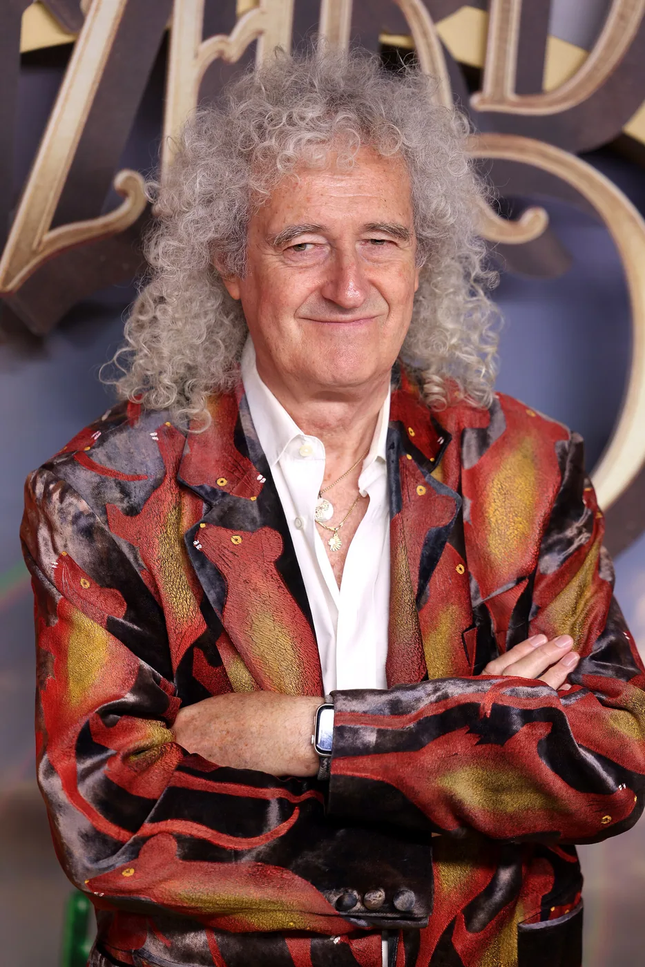 Brian May performing live