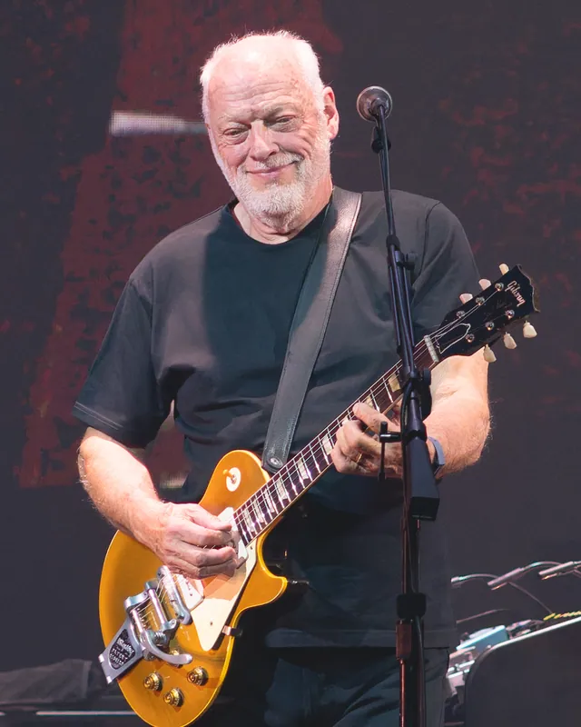 David Gilmour performing live