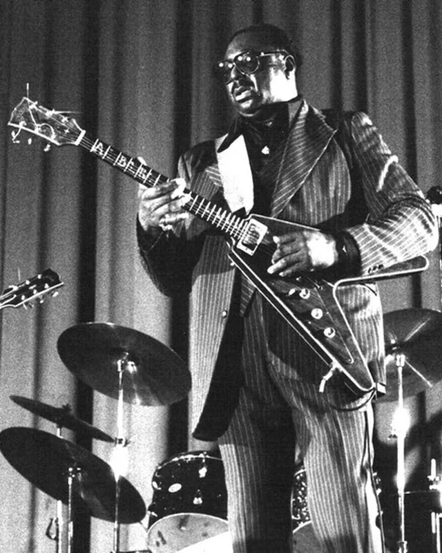 Albert King performing live
