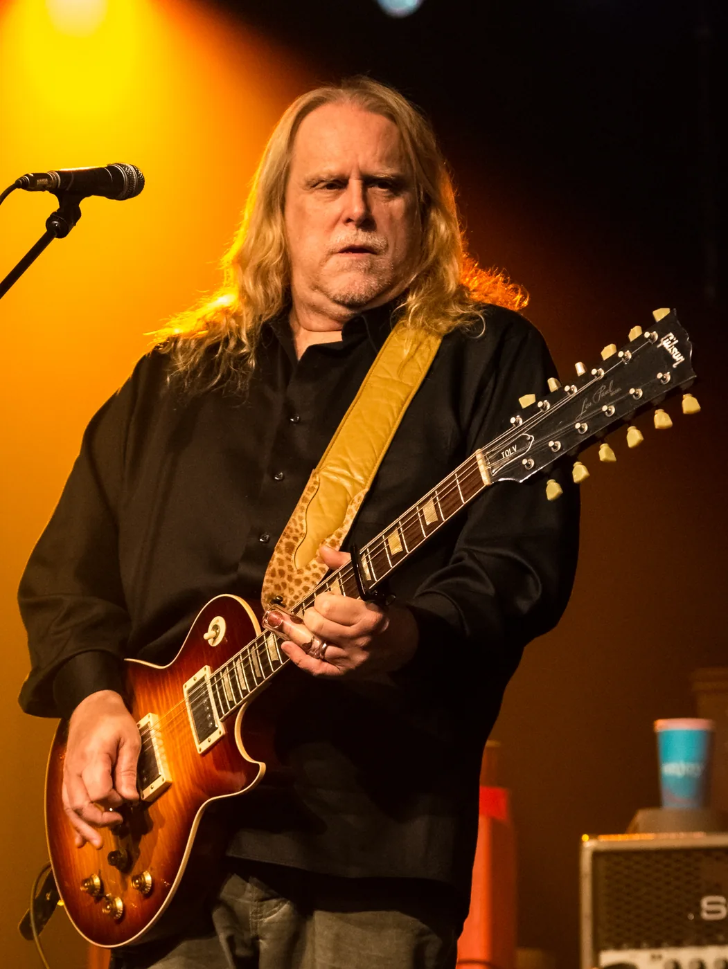 Warren Haynes performing live